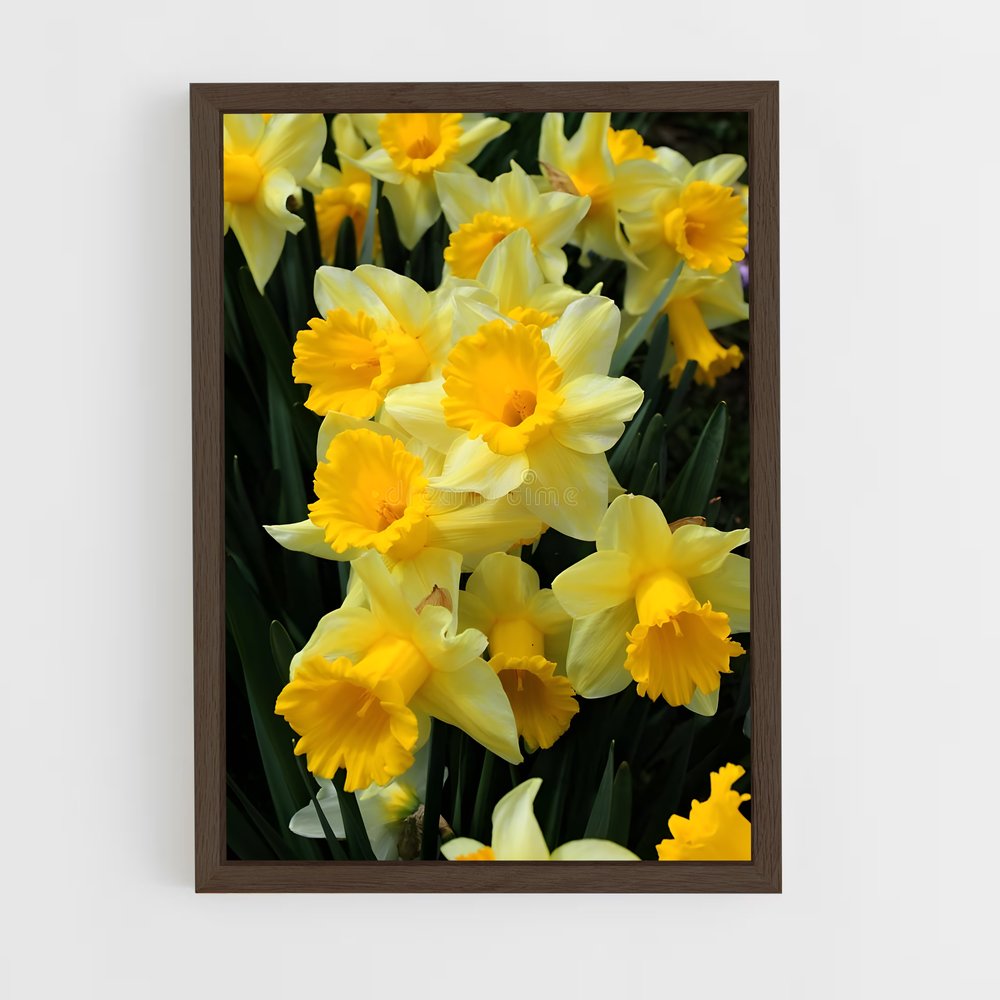 ap-daffodil-3 cadre Bois foncé