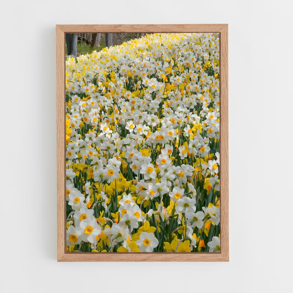 ap-daffodil-4 cadre Bois clair