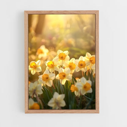 ap-daffodil-5 cadre Bois clair