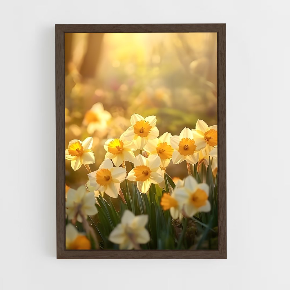 ap-daffodil-5 cadre Bois foncé