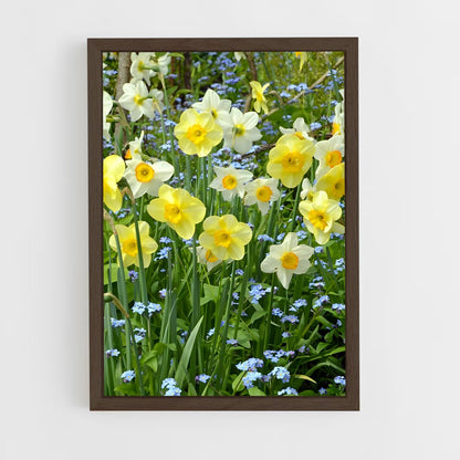 ap-daffodil-7 cadre Bois foncé