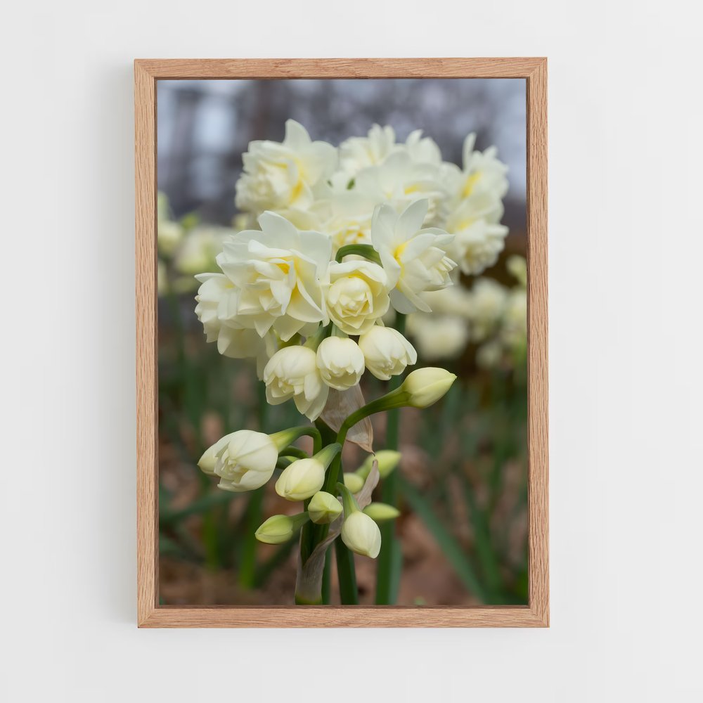 ap-daffodil-8 cadre Bois clair