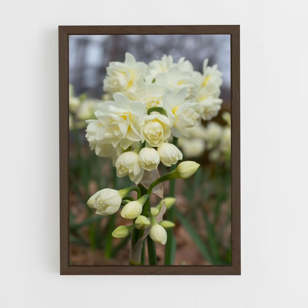 ap-daffodil-8 cadre Bois foncé