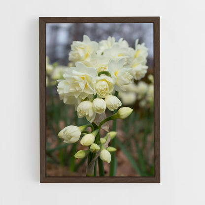 ap-daffodil-8 cadre Bois foncé