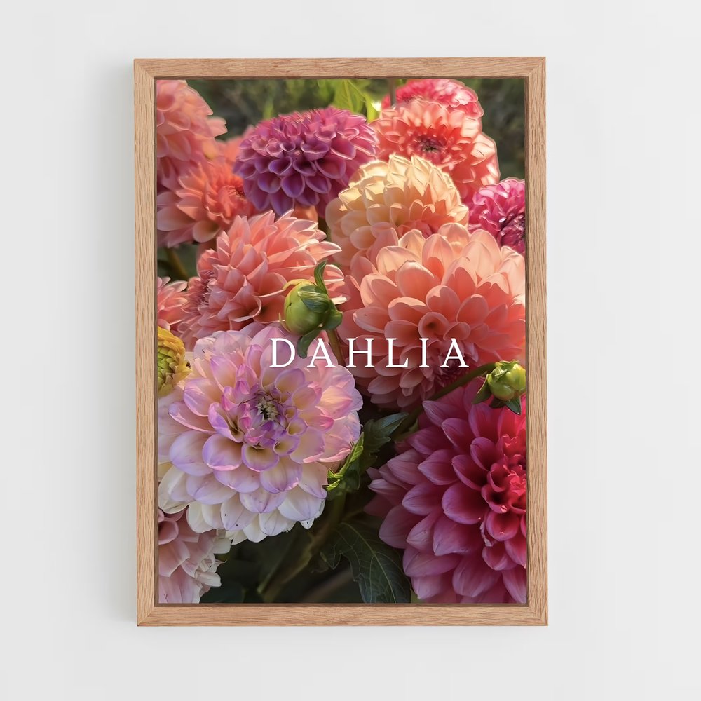 ap-dahlia-1 cadre Bois clair