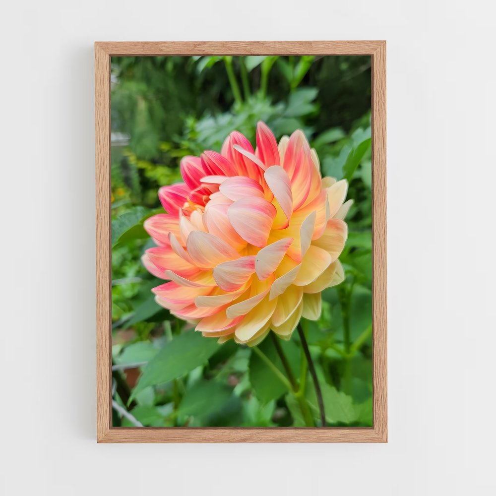 ap-dahlia-10 cadre Bois clair