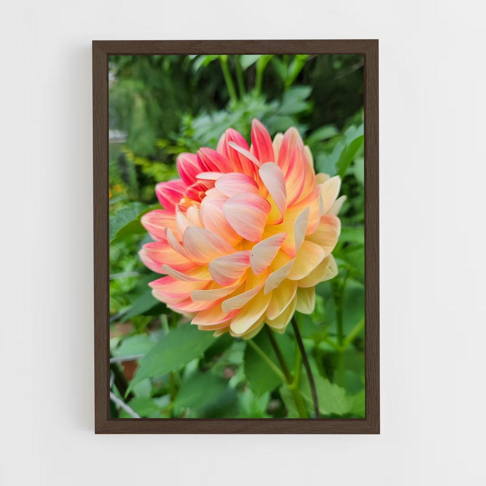 ap-dahlia-10 cadre Bois foncé