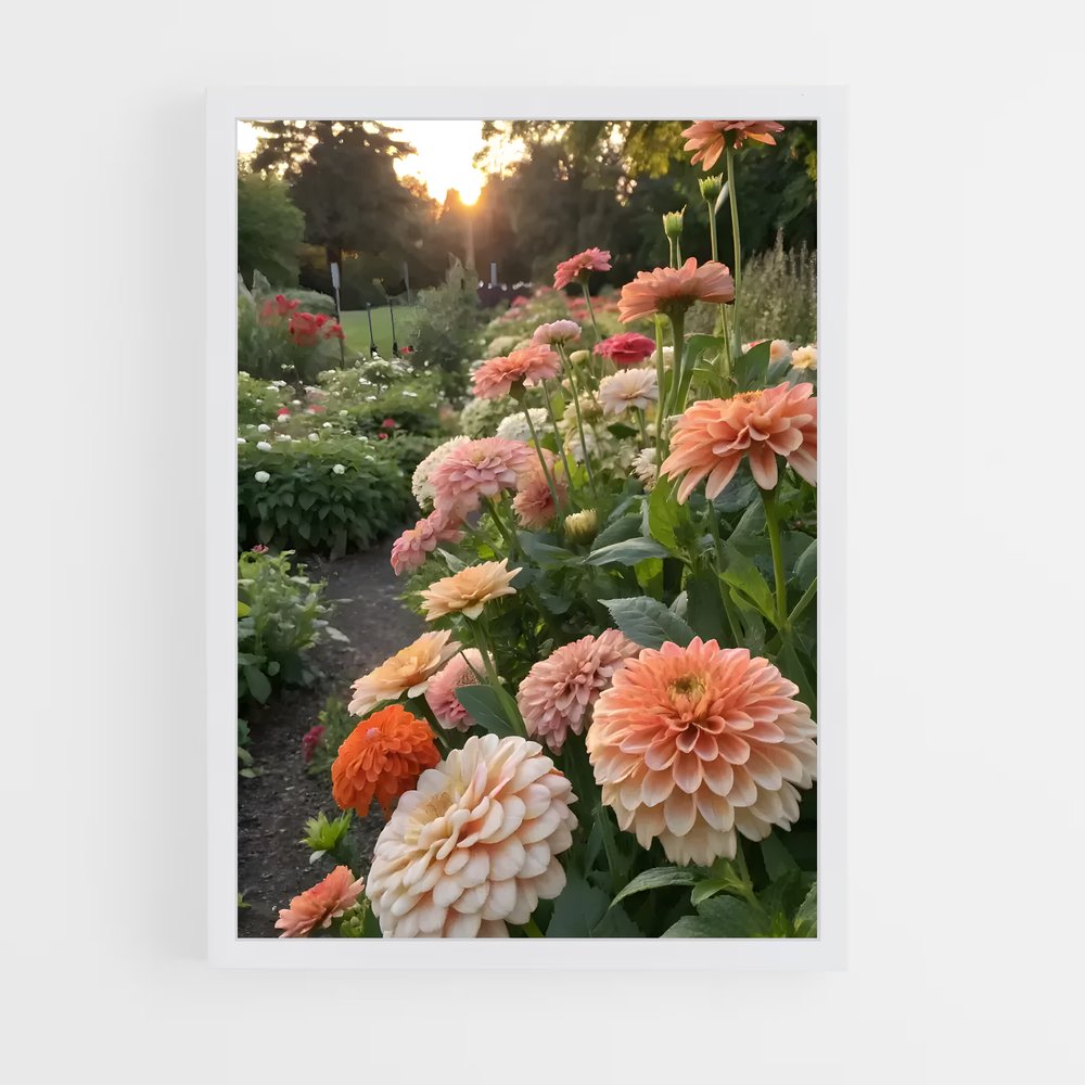 ap-dahlia-2 cadre Blanc