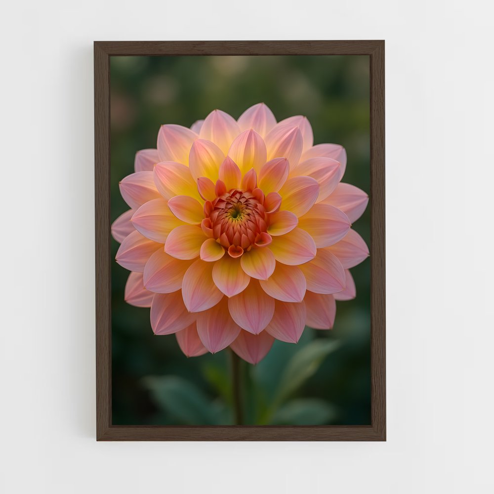 ap-dahlia-3 cadre Bois foncé