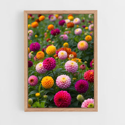 ap-dahlia-6 cadre Bois clair