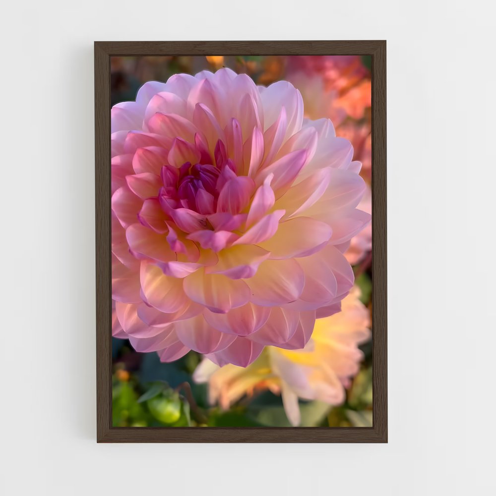 ap-dahlia-7 cadre Bois foncé