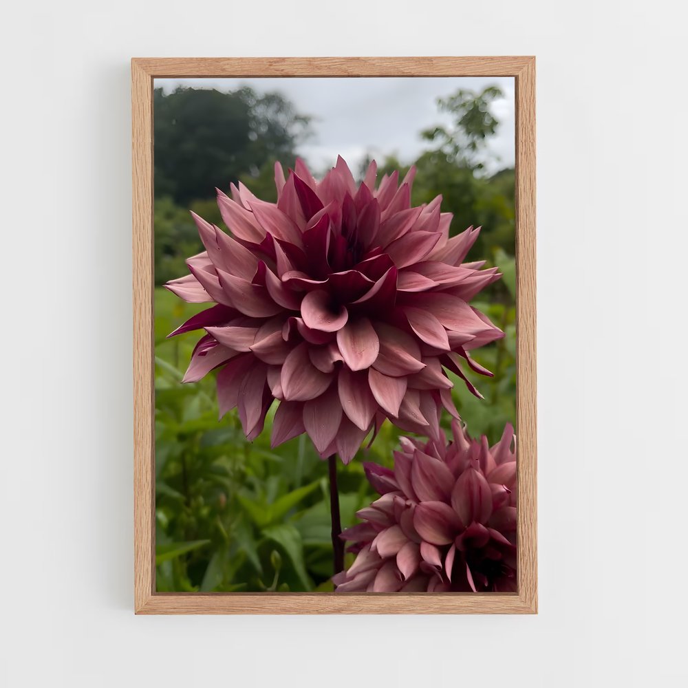 ap-dahlia-8 cadre Bois clair