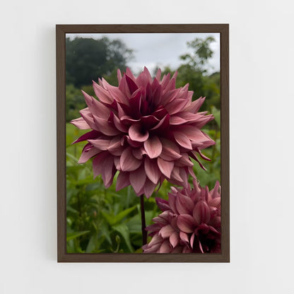 ap-dahlia-8 cadre Bois foncé