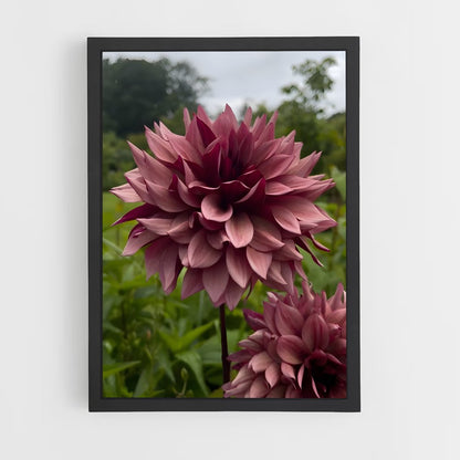 ap-dahlia-8 cadre Noir