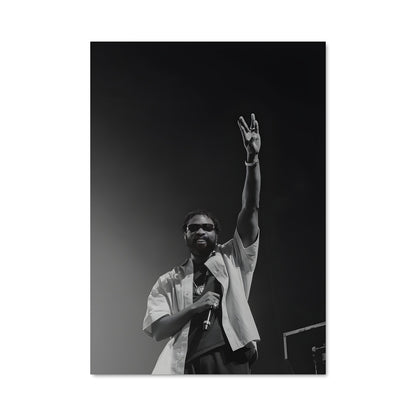 Poster L'Artiste Éblouissant