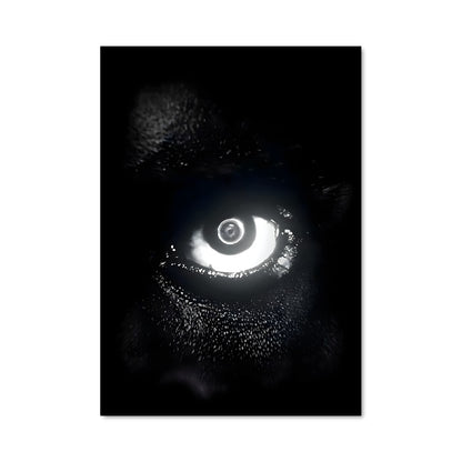 Poster L'Œil de Damso