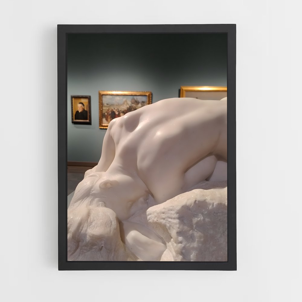 ap-danaid rodin-3 cadre Noir