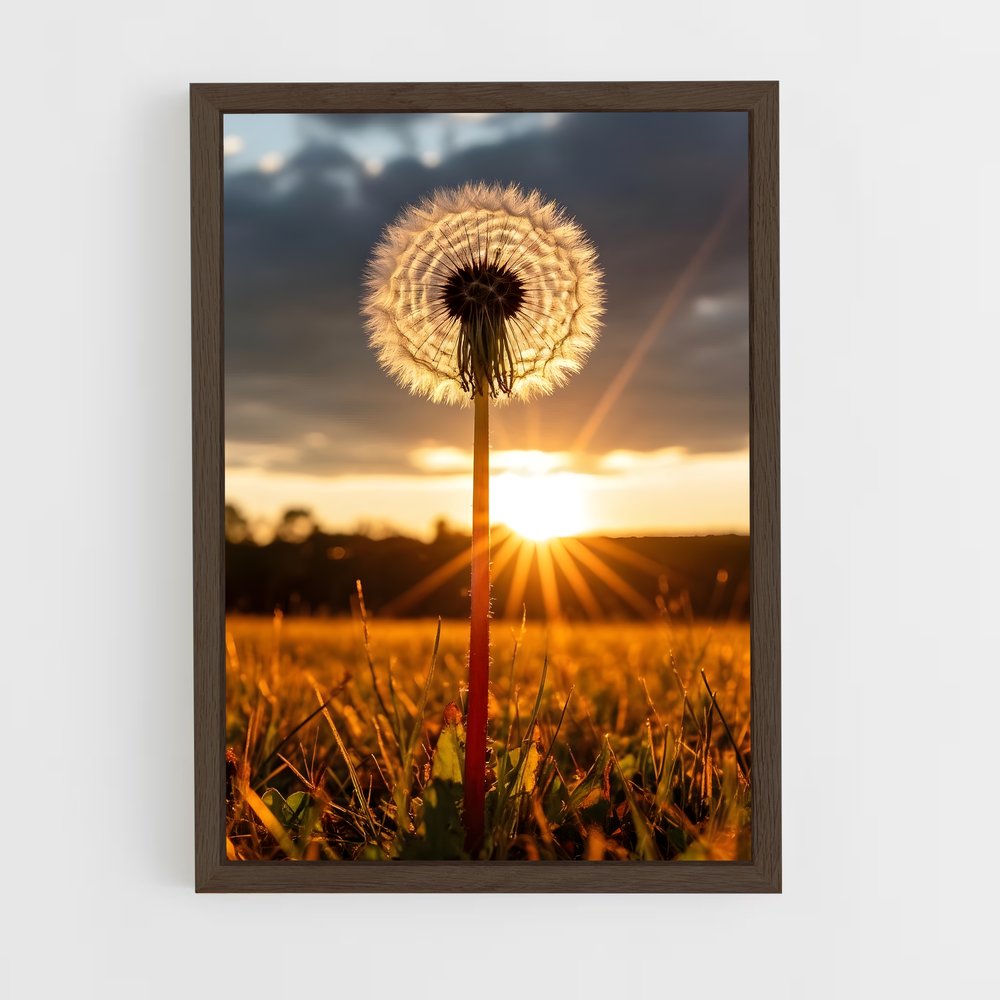 ap-dandelion-10 cadre Bois foncé