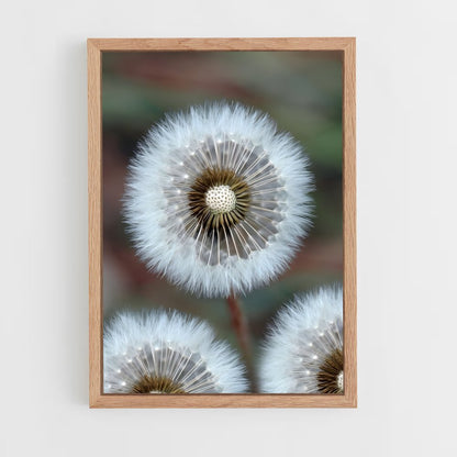 ap-dandelion-13 cadre Bois clair