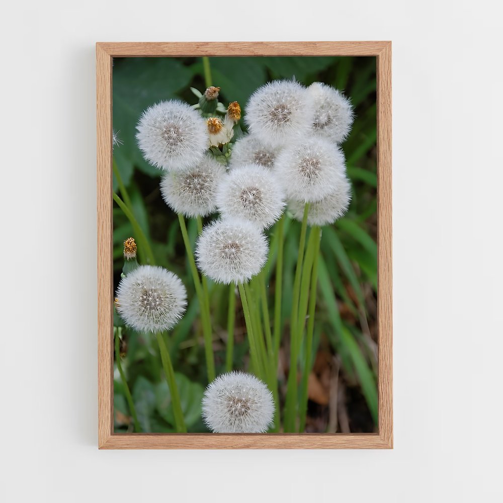 ap-dandelion-15 cadre Bois clair