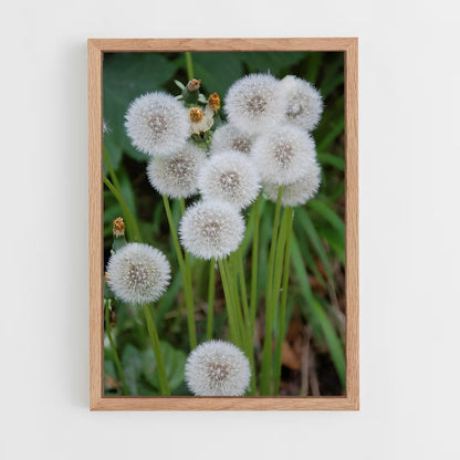 ap-dandelion-15 cadre Bois clair
