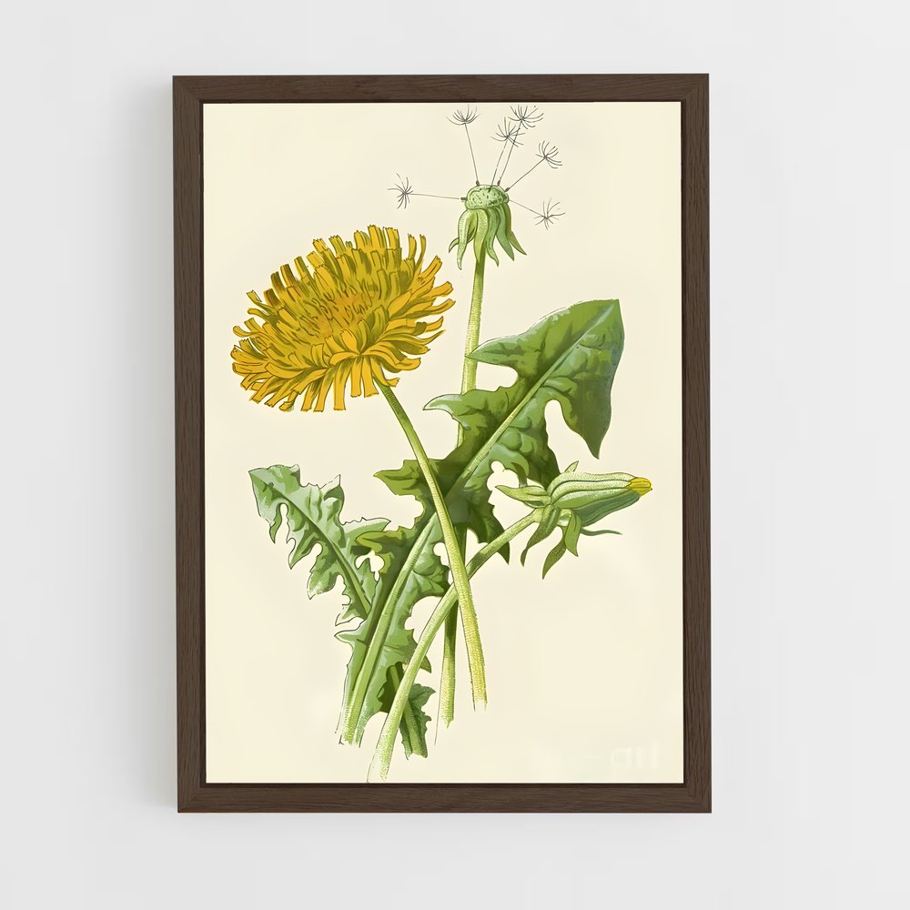 ap-dandelion-16 cadre Bois foncé