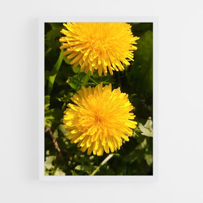 ap-dandelion-7 cadre Blanc