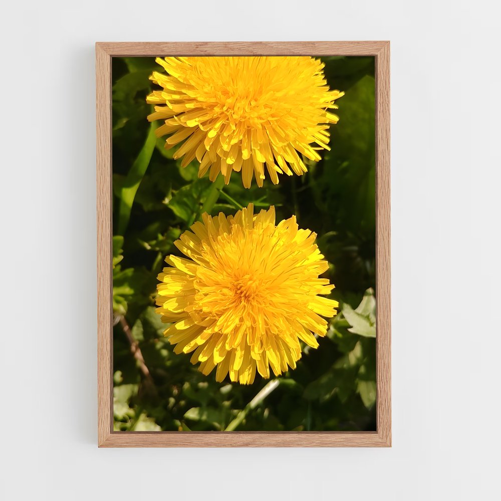 ap-dandelion-7 cadre Bois clair