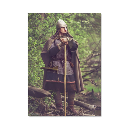 Poster Dane axe 3870