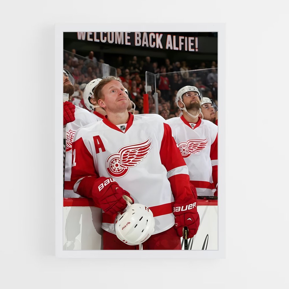 ap-daniel alfredsson-1 cadre Blanc