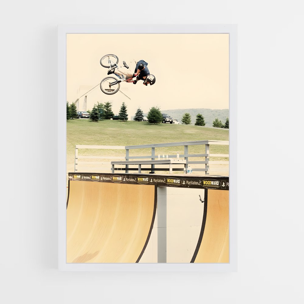 ap-dave mirra-3 cadre Blanc