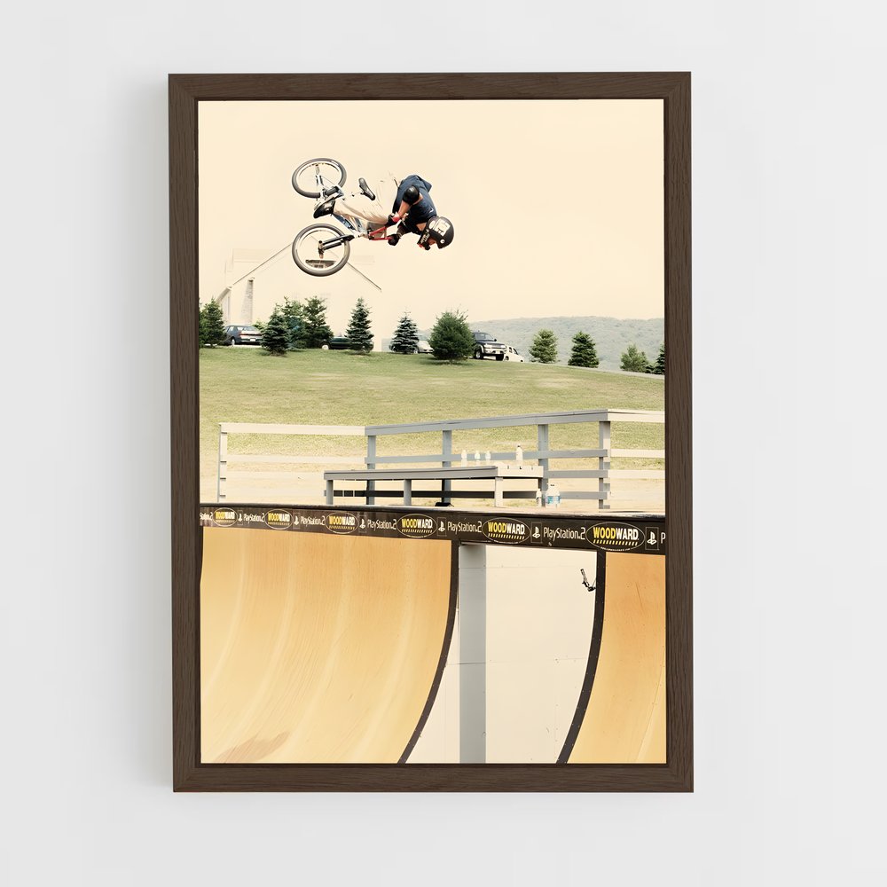 ap-dave mirra-3 cadre Bois foncé