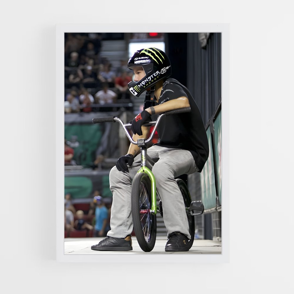 ap-dave mirra-4 cadre Blanc
