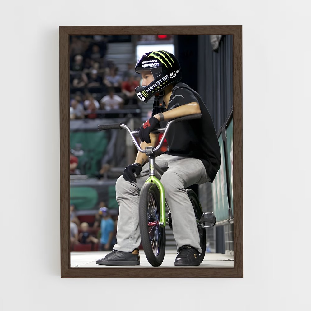 ap-dave mirra-4 cadre Bois foncé