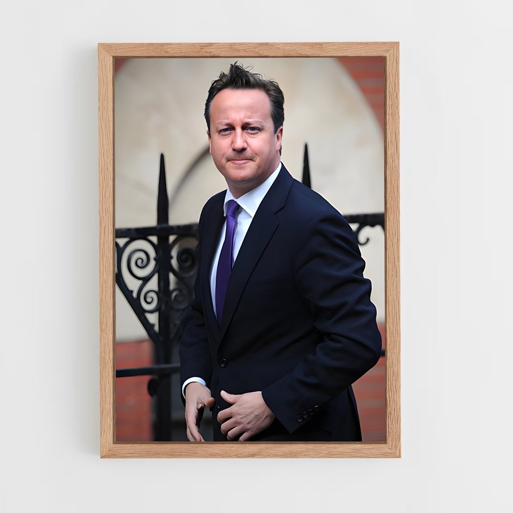 ap-david cameron-5 cadre Bois clair