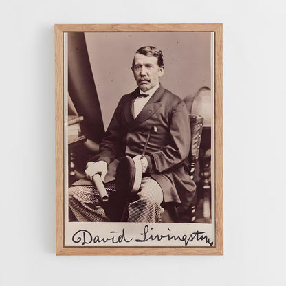 ap-david livingstone-3 cadre Bois clair
