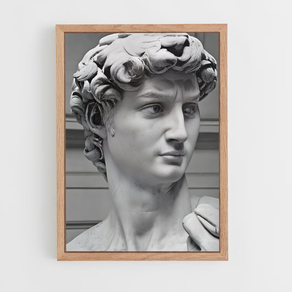 ap-david michelangelo-6 cadre Bois clair
