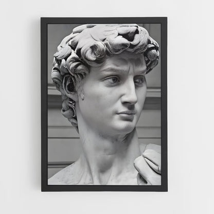 ap-david michelangelo-6 cadre Noir