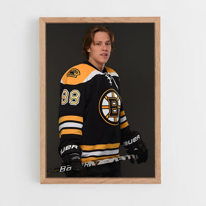 ap-david pastrnak-6 cadre Bois clair