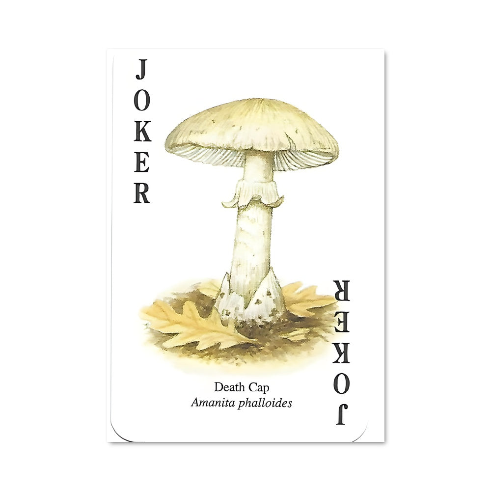 Death Cap Poster – Aesthetic Posters