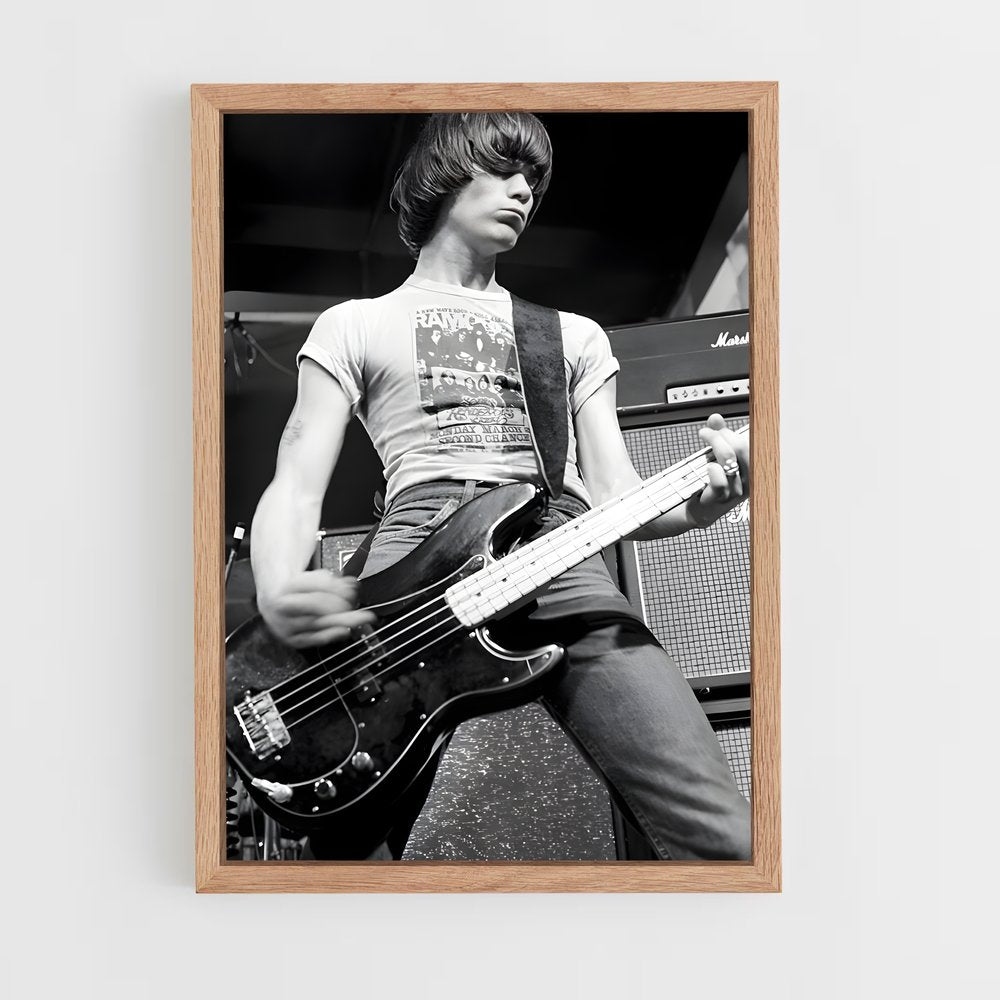 ap-dee dee ramone-3 cadre Bois clair