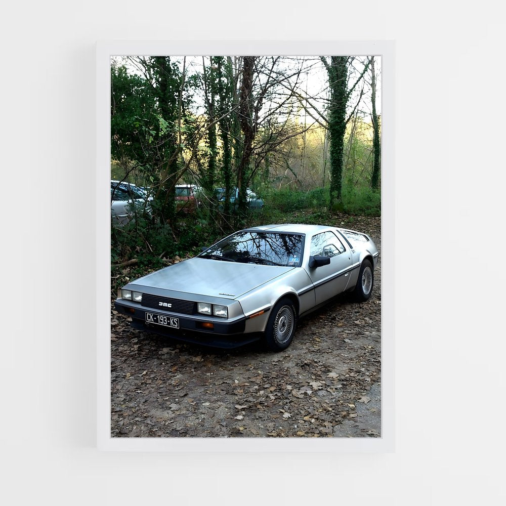ap-delorean-1 cadre Blanc