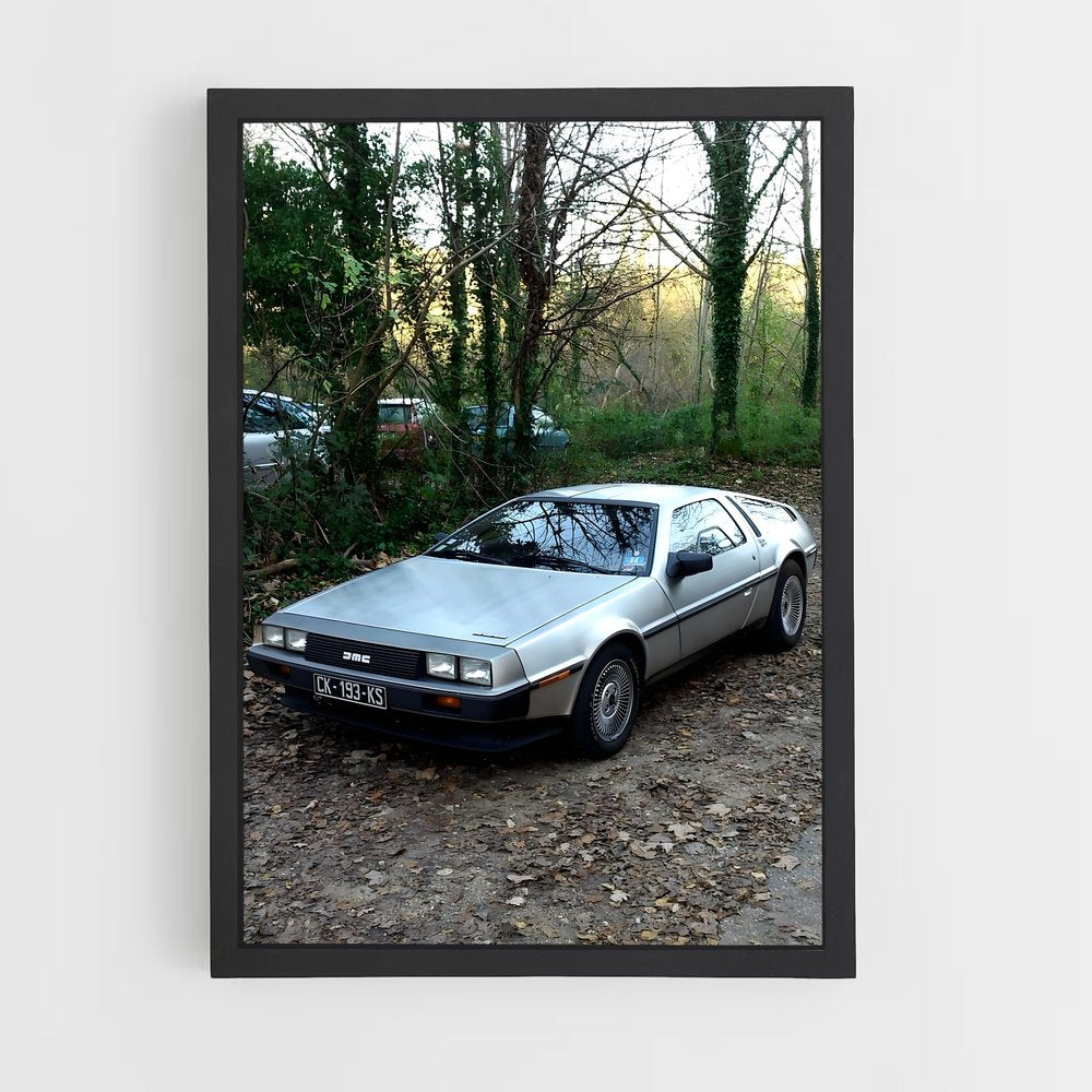 ap-delorean-1 cadre Noir