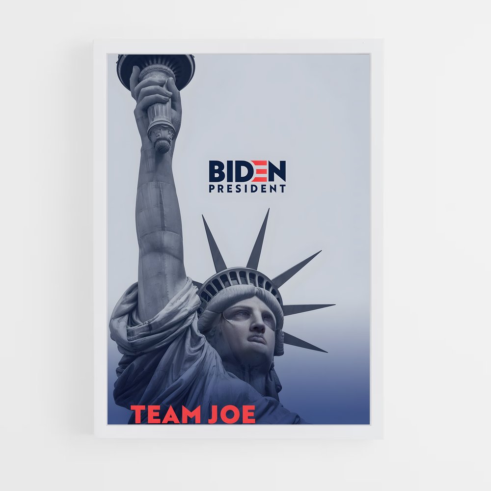 ap-democratic party usa-1 cadre Blanc