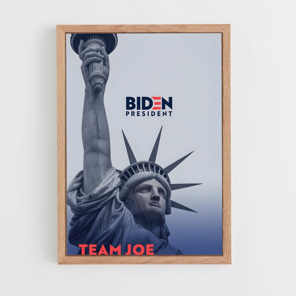 ap-democratic party usa-1 cadre Bois clair