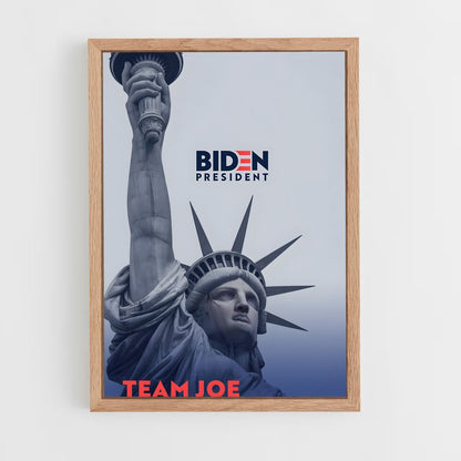 ap-democratic party usa-1 cadre Bois clair