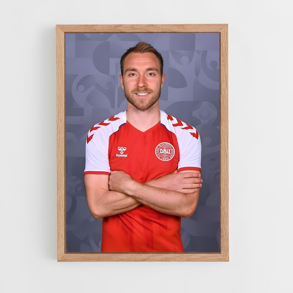 ap-denmark national football team-6 cadre Bois clair