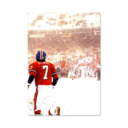 Poster Tempête de Neige Broncos