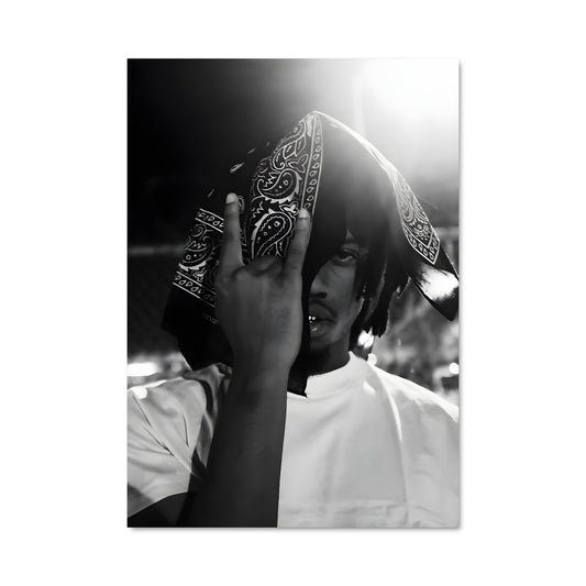 Poster Denzel curry 53353