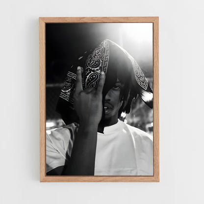 ap-denzel curry-1 cadre Bois clair
